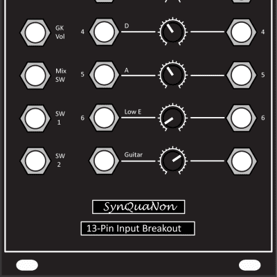 SynQuaNon Eurorack 13-Pin Input Breakout Module - Roland/BOSS GK Guitar Interface with 20dB Gain image 3