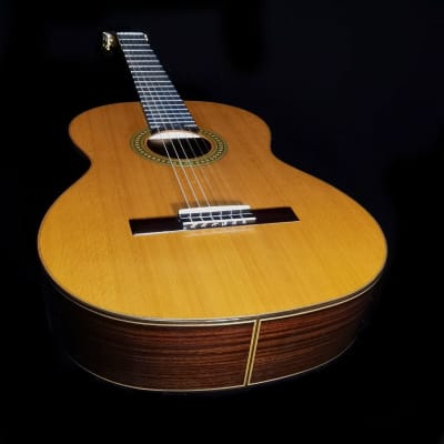Luthier Built Concert Classical Guitar - Hauser Reproduction image 5