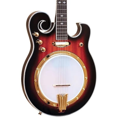 Gold Tone EBM-5 Electric Solid Body Maple Neck Mahogany Top 5-String Banjo image 1