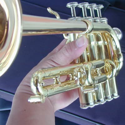 Berkeleywind Bb/A/G Piccolo Trumpet (GoldBrass Stomvi Style) image 11
