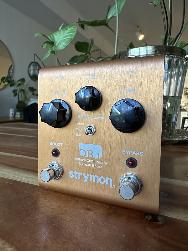 Strymon OB.1