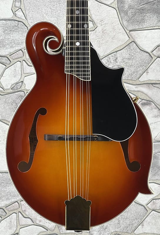 Kentucky Mandolin KM-855 with Case in Excellent Condition image 1