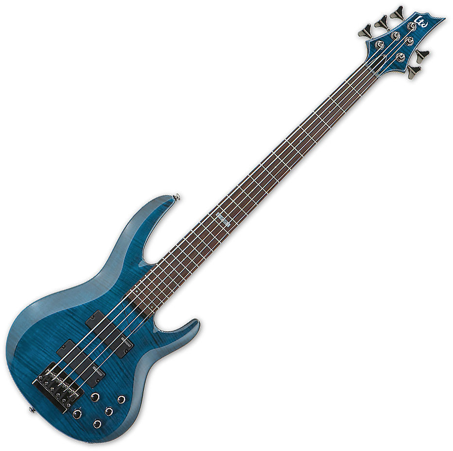 Esp ltd b15 top 5 string bass