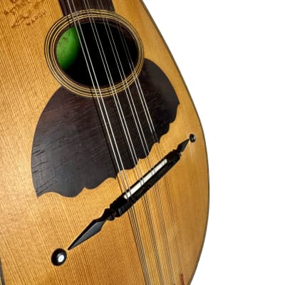 Stridente Student Mandolin 1900's image 5