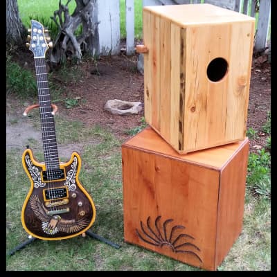 Custom Carved Fernandes Dragonfly guitar image 4
