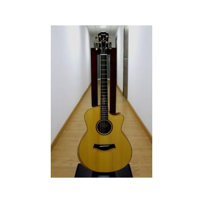 Guitarra Acustica y Amplificador TAYLOR BR-III Acoustic Guitar Amp Set image 6