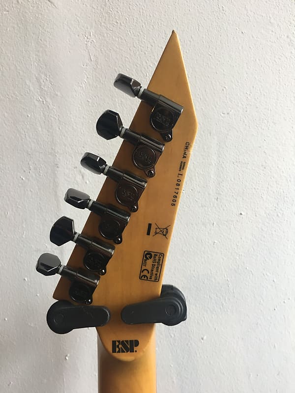 ESP LTD スカルローズ　M-200SR エレキギター ESP LTD M-200SR Skulls and Roses Electric Guitar | Reverb