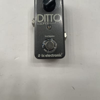 TC Electronic Ditto Looper Sampler Mini Compact True Bypass Guitar Effect Pedal for sale