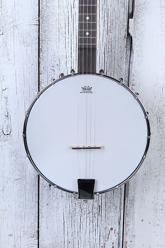 Washburn B7 Americana Series 5 String Open Back Banjo Natural | Reverb