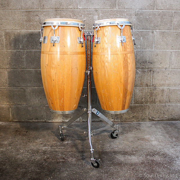 Gon bops california series clearance congas