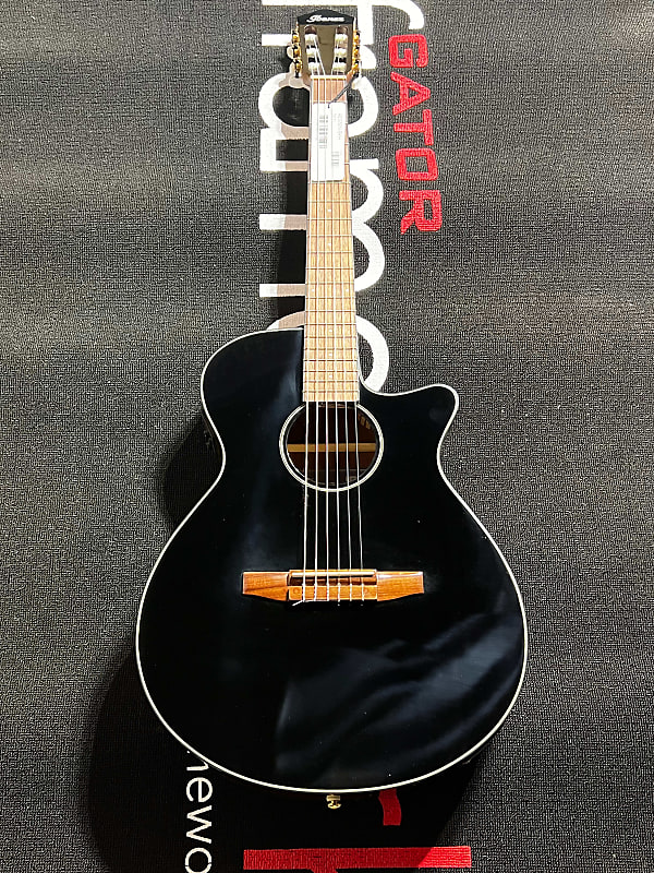 Ibanez AEG50N Acoustic-Electric Guitar (Right Hand, Black High Gloss)