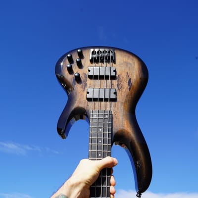 ESP BTL-4 - Black Natural Burst 4-String Electric Bass Guitar w/ Case (2024) image 9