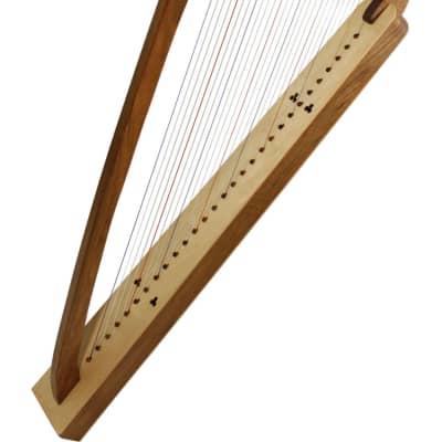 EMS  29-String Gothic Harp - Solid Walnut image 1
