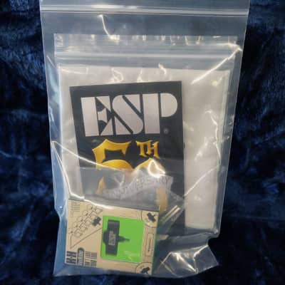puts×espy 原画 レア ESP USA V-II FR Alien Blood Splatter 6-String Electric