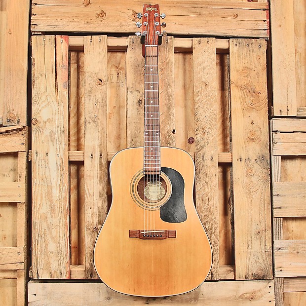 Washburn d10e shop