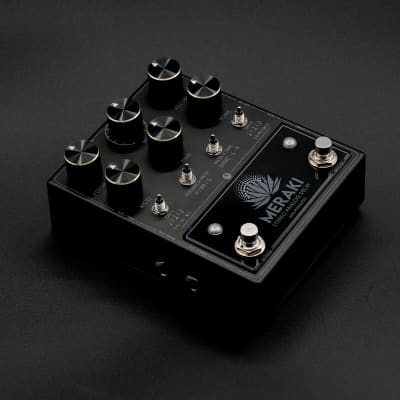 Walrus Audio - Meraki Stereo Analog Delay - 2023 Limited BLACKED OUT Exclusive image 2