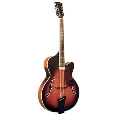 Gold Tone Mandocello Archtop in Sunburst with Case image 1