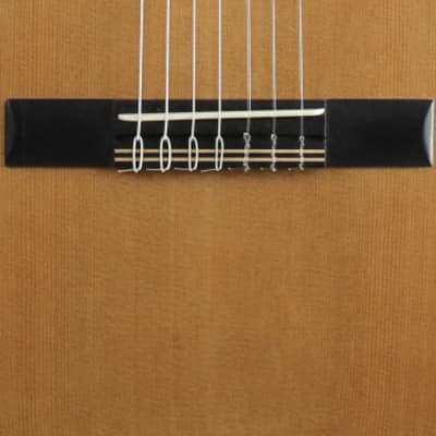 Kremona F65CW-7S | Fiesta Series 7-String Classical Guitar. New with Full Warranty! image 4