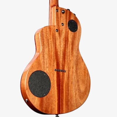 Rick Turner Renaissance RS6 2023 - Ash image 4