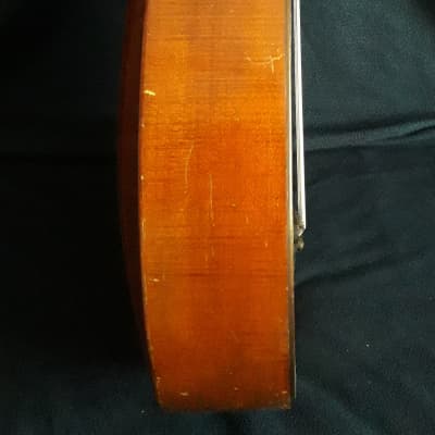 German Lute-guitar (1930) image 6