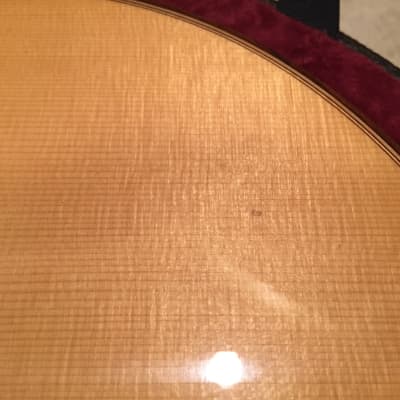 Taylor Academy 12E N / Nylon String - Authorized Online Dealer