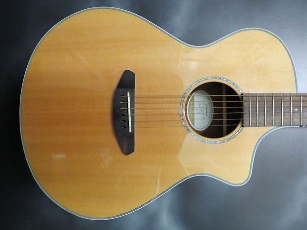 Breedlove Pursuit Concert BB