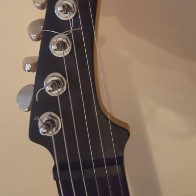 Parker P44 Modified: MIDI, Gibson Pickups image 5