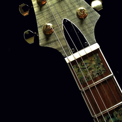 Raines LA6 or LA7 2019 6 or 7 String Electric Jazz Guitar Semi Hollowbody  TRADES! image 20