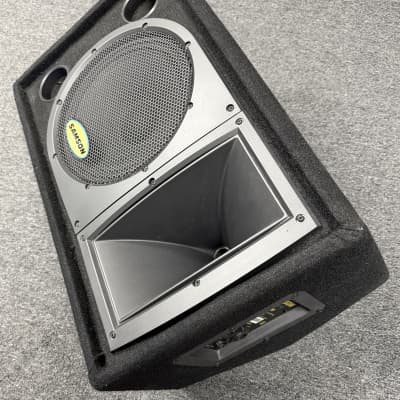 Samson Resound RS10M 10