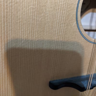 Sawchyn Beaver tail octave mandolin 2020 image 8