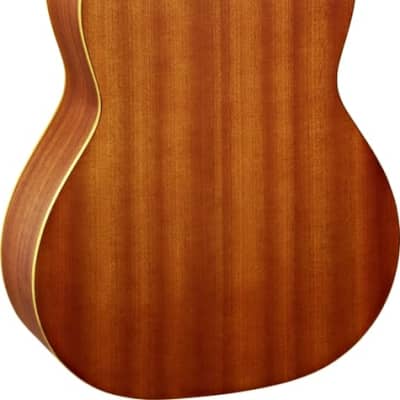 Ortega Guitars R131SN Family Series Pro Slim Neck Nylon Classical 6-String Guitar w/ Free Bag, Solid Canadian Western Red Cedar Top and Mahogany Body, Natural Satin Finish image 2