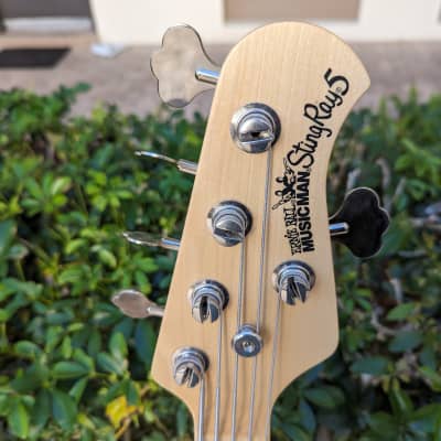 Ernie Ball Music Man Stingray 5 Electric Bass 5-String Maple Neck 2015 image 4