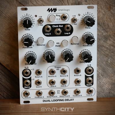 4MS Dual Looping Delay