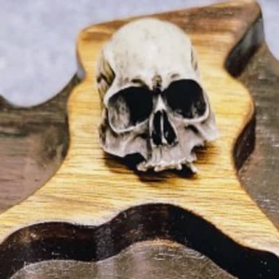 SINISTER SE-X SERIES Prototype Guitar image 6