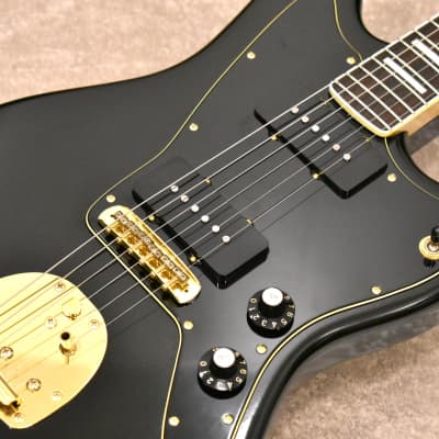 g7 Special g7-JM “Black Beauty” ハカランダ指板