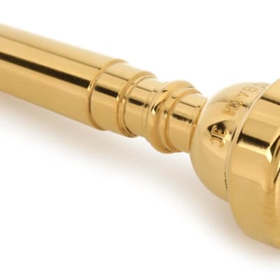 Bach 351 Classic Series Silver-plated Trumpet Mouthpiece with Gold-plated  Rim - 5C