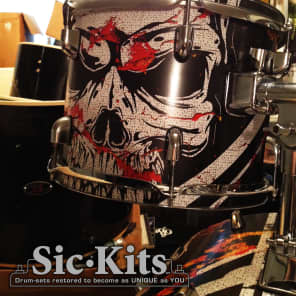 PDP Z5 with one-of-a-kind Sic•Skinz Finish image 3
