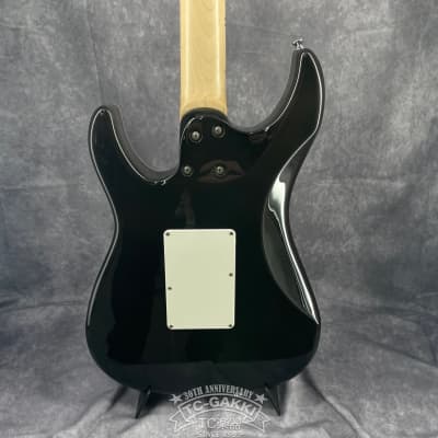 2010's SCHECTER 2010s SD-II-24-AS image 2