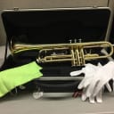 Brand new Palatino WI815TP trumpet