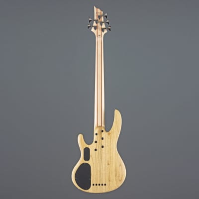 ESP LTD B-205SM-FL 5-String Bass G uitar   - 5-String Electric Bass image 3