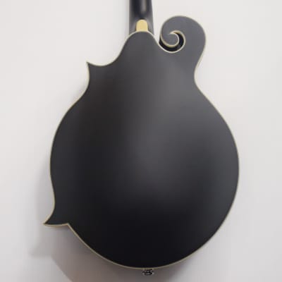 Luna Moonbird F-Style Acoustic-Electric Mandolin - Black Satin image 9