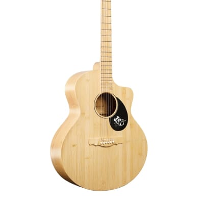 Ibanez アコースティックギター カッタウェイ　AEW21VK−NT1201 Ibanez アコースティックギター カッタウェイ AEW21VK−NT1201