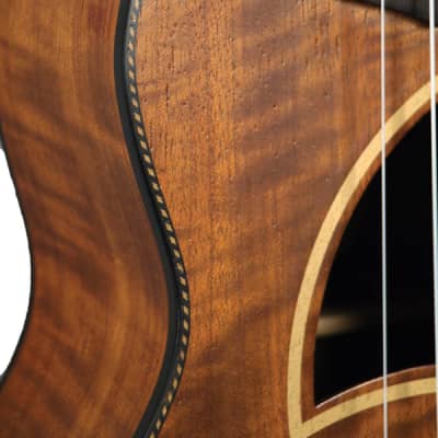 Eddy Finn EF-9-C Mahogany Series Concert Size Mahogany Top Back & Sides Ukulele image 4