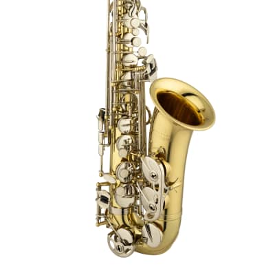 トランプ VIRTUOSO 2014 SPRING/SUMMER Virtuoso Alto Saxophone By RS Berkeley-Lacquer w/Blue Autism