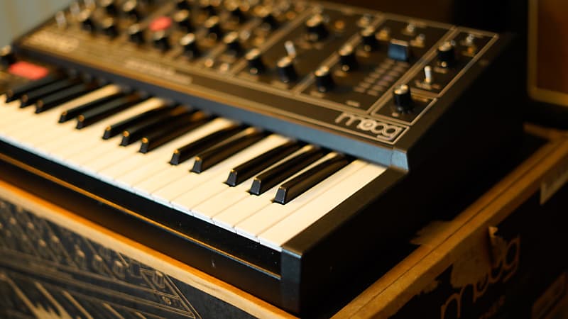 Moog Grandmother Dark 32-Key Semi-Modular Analog Synthesizer 2020