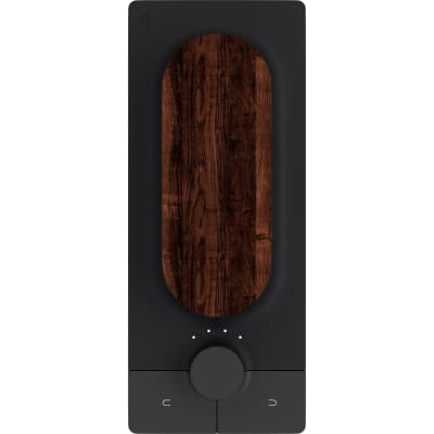 Expressive E Touché MIDI/CV/USB Control Surface | Reverb