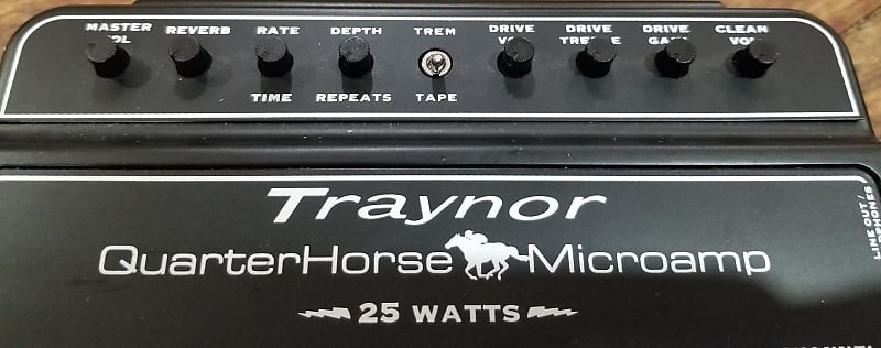 Traynor DH25H QuarterHorse Microamp 25-Watt Stompbox Guitar Amplifier |  Reverb