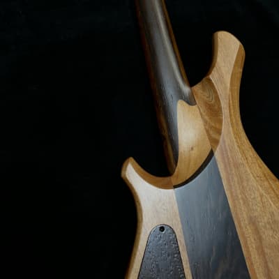 MGbass Infinity Ghost  5 strings fretless - Piezo pickup bartolini preamp cocobolo fingerboard image 8