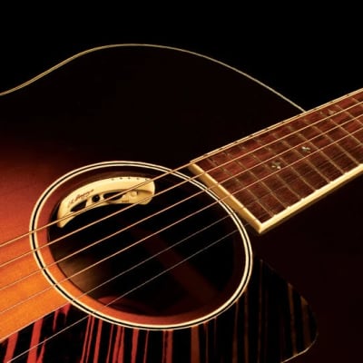 L.R.Baggs Anthem Tru Mic & Element Pickup image 2