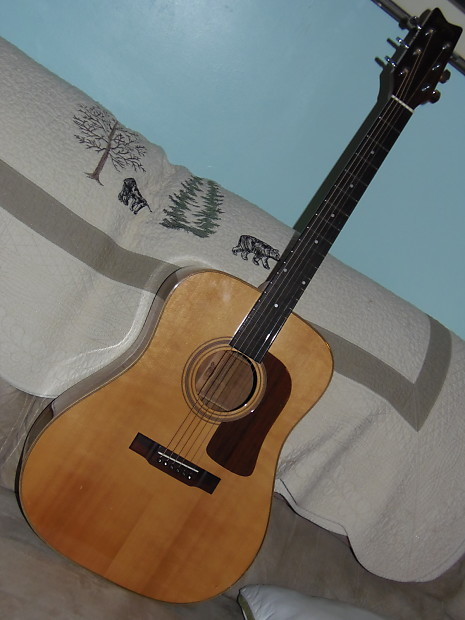 George new arrivals washburn d10n